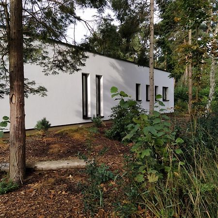 B&B Altijd Zomer Nijlen Bagian luar foto