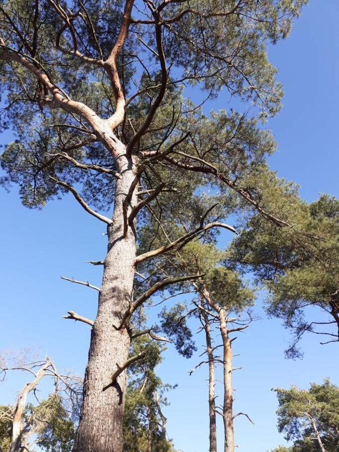 B&B Altijd Zomer Nijlen Bagian luar foto