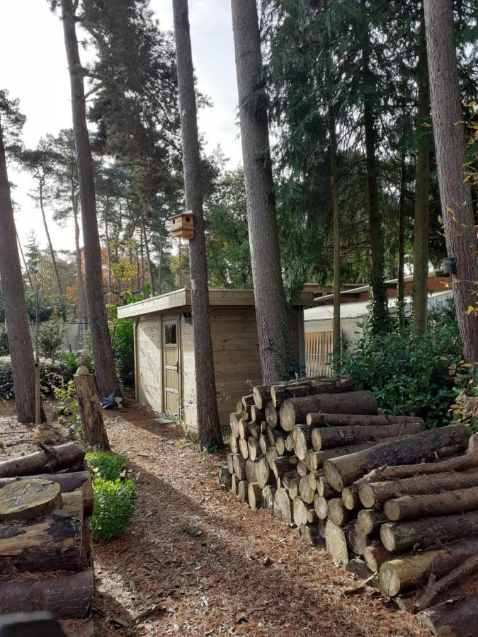 B&B Altijd Zomer Nijlen Bagian luar foto